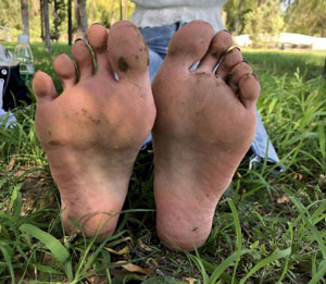 繁花国语版免费观看全集_HD免费观看视频