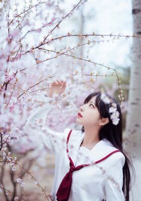狼烟电视连续剧40集免费观看_高清电影完整版